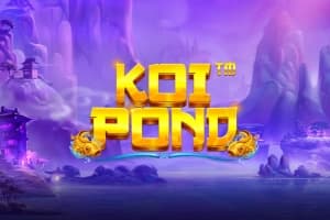 코이 Pond